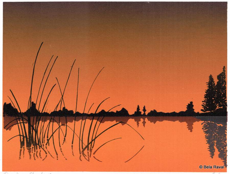 Evening Shadows