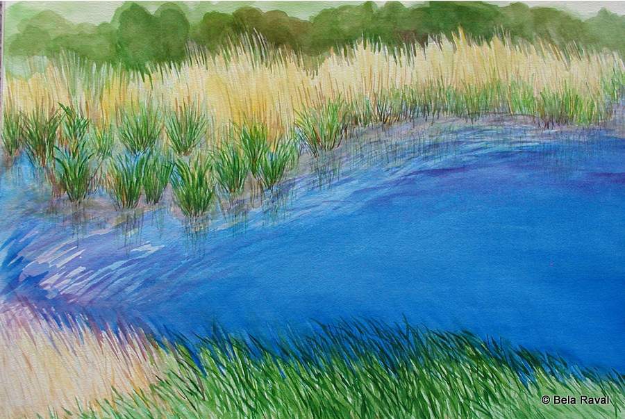 The Blue Lagoon